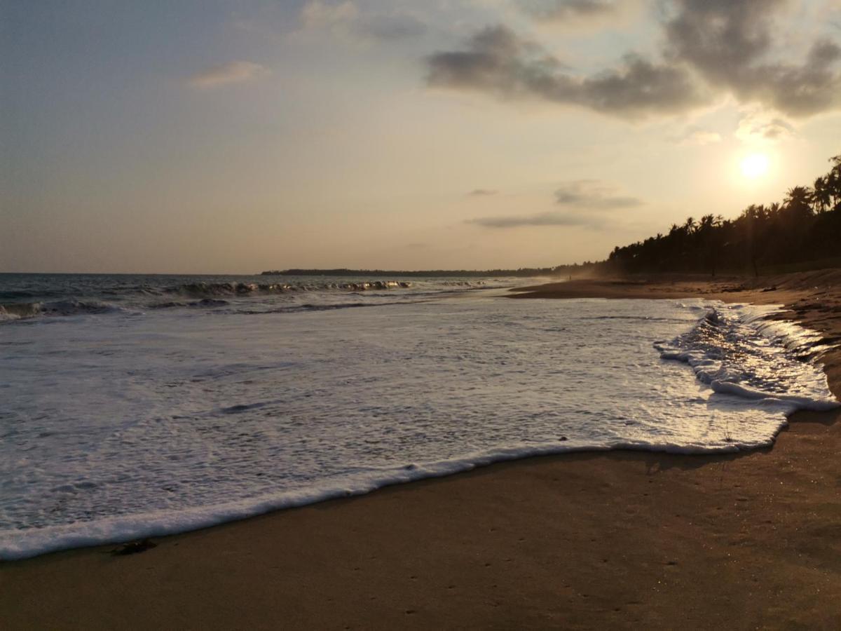 Helios Beach Resort Tangalle Ngoại thất bức ảnh