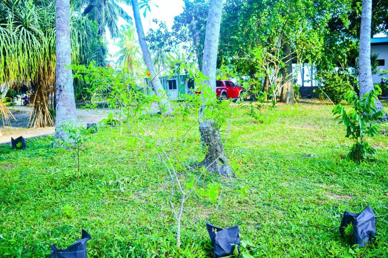 Helios Beach Resort Tangalle Ngoại thất bức ảnh