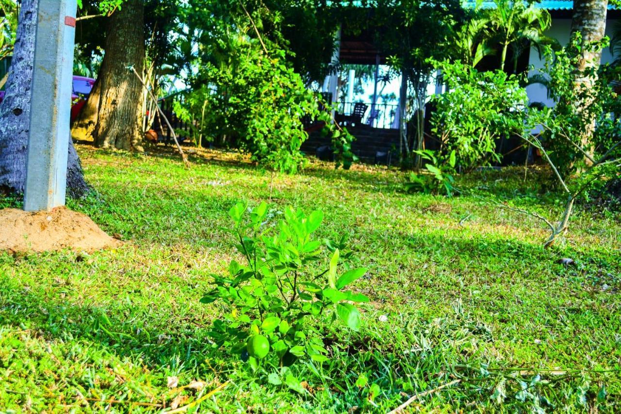 Helios Beach Resort Tangalle Ngoại thất bức ảnh