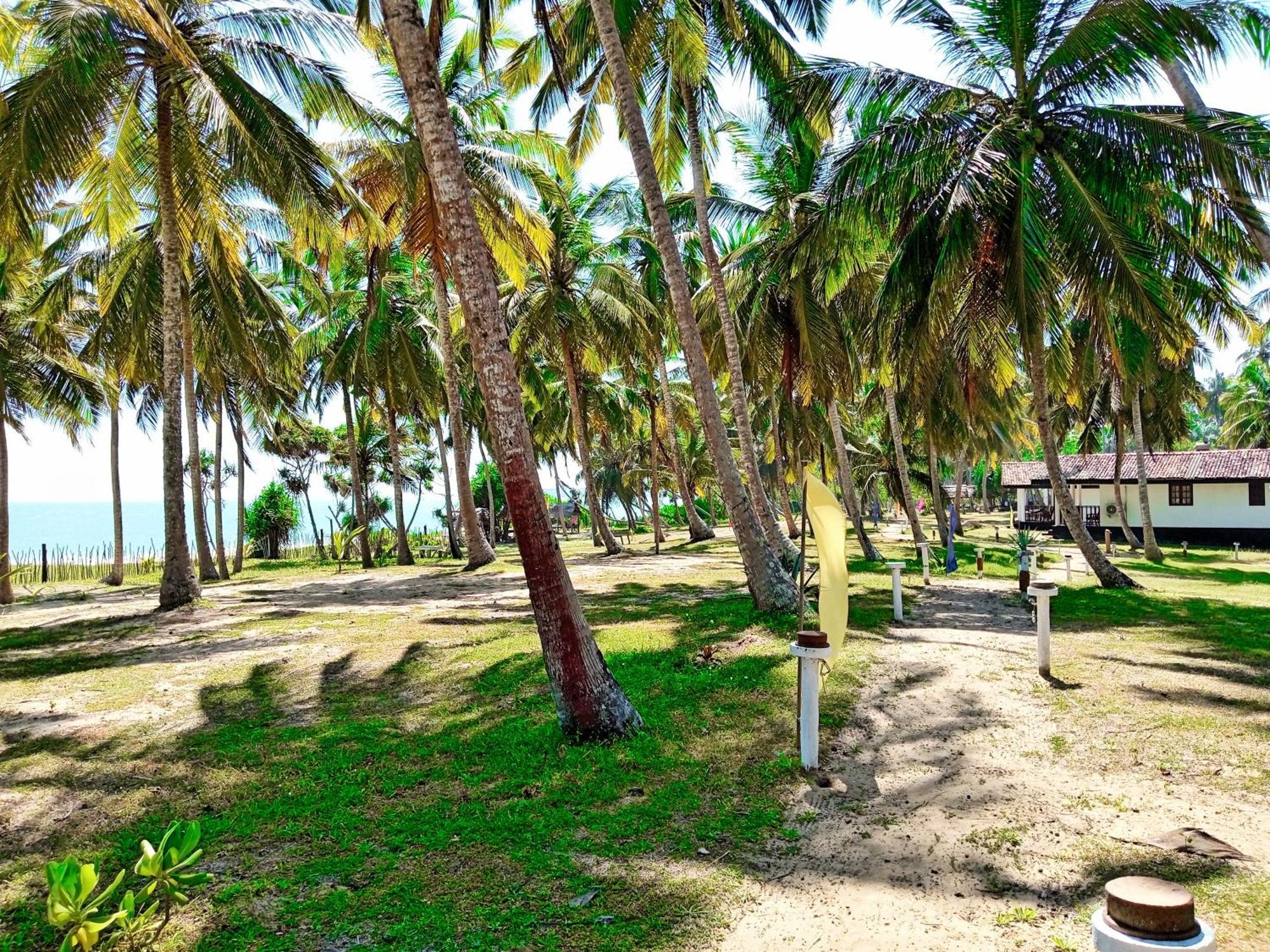 Helios Beach Resort Tangalle Ngoại thất bức ảnh